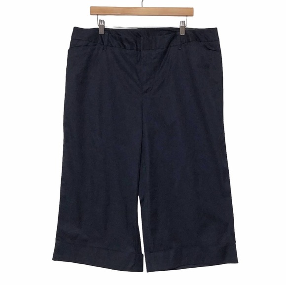 Venezia Pants - NWT Venezia Gaucho Chino Pants